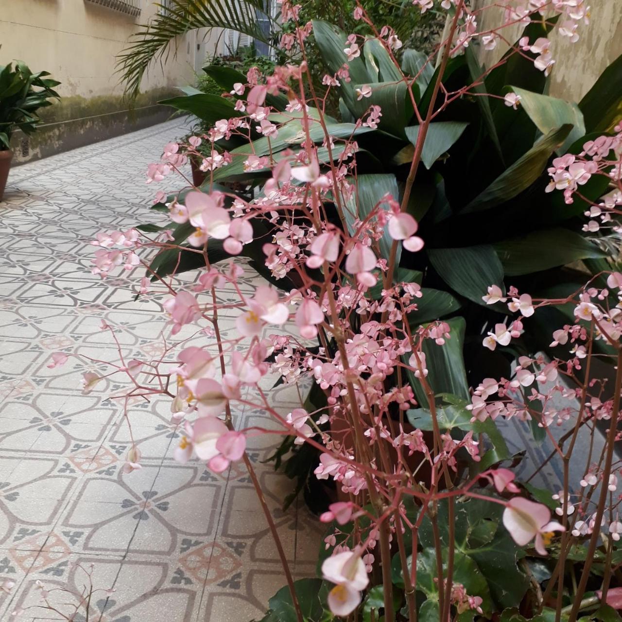 Xix Century Homestay Buenos Aires